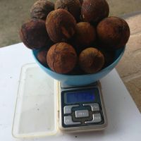 90/10 / Natural Pure Bovine/Cow/Ox Gallstones for sale, competitive price