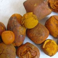 Ox Gallstone (90% Whole Stones / 10% Broken)