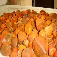 OX Gallstone for sale