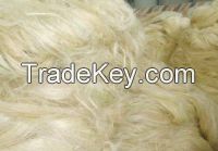 Top Quality Kenyan Sisal Fiber / Sisal Fibre