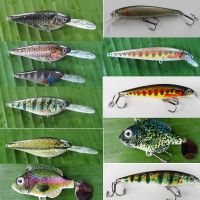 LED active section fishing lure