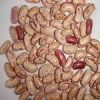 Sell Light speckled kidney beans