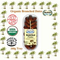 Dates Deglet Noor Organic Branched Dates Tray 250 g