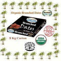 Dates Deglet Noor Organic Branched Dates Carton 5 Kg