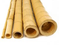 Bamboo Poles