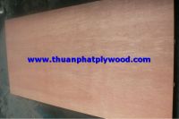 COMMERCIAL PLYWOOD