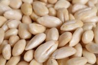 Almond Nuts Blanched