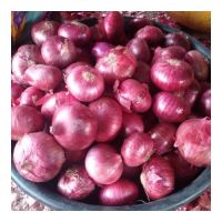 Red Onions