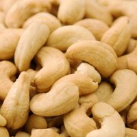 High Quality Cashew Nuts In Shell- W320, W240, W180 and FS grades