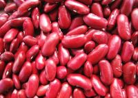 Red Kidney Beans, White Kidney Beans, Chickpeas, Lentil, Alfalfa Beans