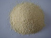 dehydrated garlic granule