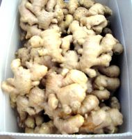 Sell whole dried ginger