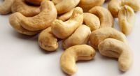 Cashew Nuts