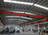 LD model Single Cranes lifting machine