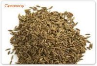 Caraway