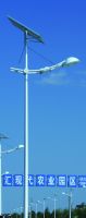 Solar Street Light 2