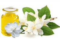 best quality 100% pure Natural jasmine essential oil