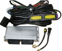 eg300 cng/lpg multipoint sequential conversion kits