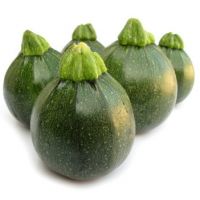 Best Quality Round Zucchini