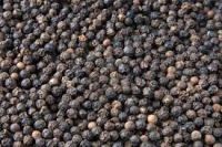 Black Pepper High Quality 500- 550- 600gl