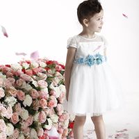 Elegant Flower Girl Wear Royal Blue Waistband Baby Girl Birthday Dresses MY068
