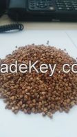 2016 crops Chinese roasted buckwheat kernel
