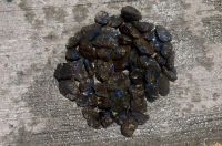 For sell Blue Amber (Samples Available)