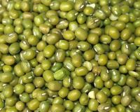 Cheap vigna beans