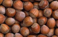 Cheap hazelnuts