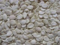 Cheap melon seeds