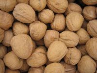 Cheap walnuts