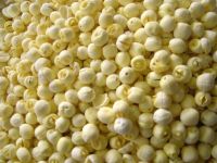 Cheap lotus seeds available For Sale