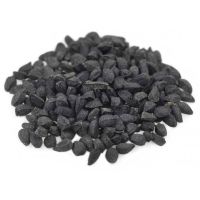 Cheap ethiopian black seed Available For Sale