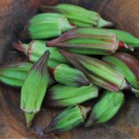 Cheap red and green okra seeds for sowing Available For Sale