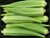 Cheap OP Bhindi Okra Seeds  Available For Sale