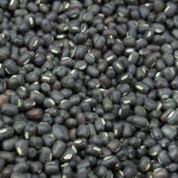 Cheap Black Fennel Seeds Available For Sale