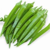 Cheap Hybrid OKra Seeds Available For Sale