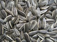 Cheap sunflower seeds available For Sale