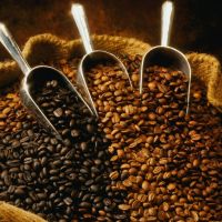 Cheap Arabica Coffee Beans available For Sale