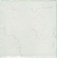 300x300mm matt finish ceramic tile porcelain tile Lola brand Foshan factory