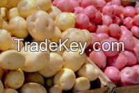 Egyptian Potatoes 2017year