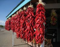 Fresh and Dried Red Chilli