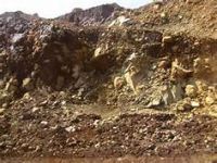 Nickel Ore