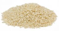 GMO Soybean Seeds