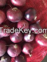 Red onion