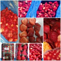 Egyptian strawberry (fresh and frozen)