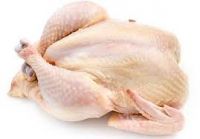 Best Quality Halal Frozen Whole Chicken