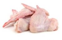 Halal Grade A Chicken Feet / Frozen Chicken Paws