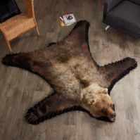 grizzly bear rug for sale different Sizes