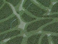 Sell  linne/cotton  interwoven fabric